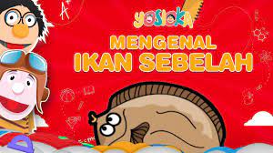 Check spelling or type a new query. Mengenal Hewan Ikan Sebelah Ikan Sisa Nabi Youtube