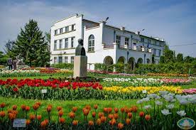 Locul este o feerie de culori. GrÄƒdina BotanicÄƒ Din Cluj Napoca OazÄƒ De Liniste Si Relaxare Gazeta De Nord Vest