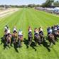 New Years Eve Raceday event image