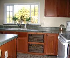 Going Off Grid Getting Rid Of The Dishwasher New Life On A Homestead Homesteading Blog Outdoor Kitchen Appliances Kitchen Redo Old Kitchen Cabinets