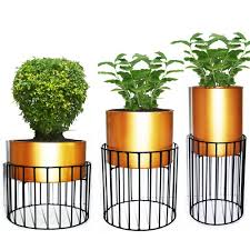 Check spelling or type a new query. Golden Modern Ascent Homes Metal Wire Based Planter Stand With Metal Pot Set Of 3 5 Mm Size 8 8 18 5 Id 22199582812