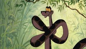 Les choses se compliquent lorsque kaa, le serpent hypnotiseur, décide de faire de shanti son déjeuner, et que shere khan, le tigre mangeur d'hommes ennemi de. Personnage Dans Le Livre De La Jungle Kaa We Love Disney