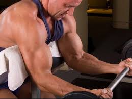 Check spelling or type a new query. Top 5 Exercises For Your Bicep Workout A Lean Life