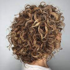 65 Different Versions Of Curly Bob Hairstyle Curly Bob Hairstyles Curly Hair Photos Curly Hair Styles