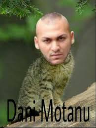 We did not find results for: Bancuri A Dani Mocanu Facebook