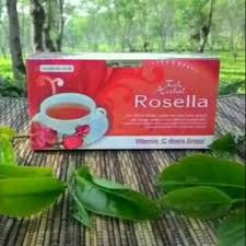 Penyebab sariawan adalah jamur candida albicans yang hidup di. Obat Herbal Khasiat Ampuh Mengobati Sariawan Osteoporosis Tbc Darah Tinggi Dengan Teh Rosella Merah Shopee Indonesia