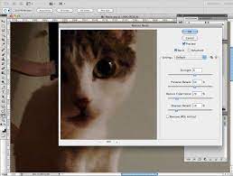 Introduction To The Reduce Noise Filter In Photoshop | Photographypla.net