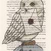 223 pages chamber of secrets: Https Encrypted Tbn0 Gstatic Com Images Q Tbn And9gcsitsqyx6appzucu5nj3 Mcnifv36ntyuzwton5 Qj2osevl2f2 Usqp Cau