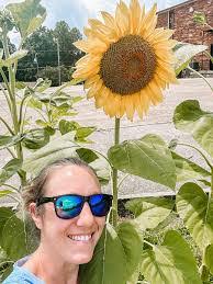 Seth Bright's Instagram, Twitter & Facebook