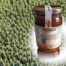 Miel D Euphorbe Daghmous Arganane 24 90 Les 250 G Le Miel D Euphorbe Daghmous Est Un Nectar Naturel Tres Apprecie Qui Possede Euphorbe Miel Gout Sucre