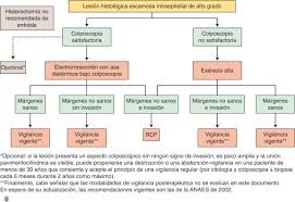 Tratamiento De Las Neoplasias Intraepiteliales Escamosas Y Glandulares Del Cuello Uterino Sciencedirect
