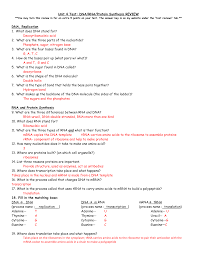 Rate free building dna gizmo answer sheet form. Rna And Protein Synthesis