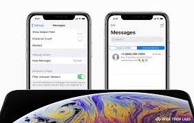 How To Block Phone Numbers And Contacts On Your Iphone Ipad Or Ipod Touch Blog Wise Tech Labs Phone Ipod Touch Phone Numbers