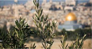 Welcome To Nablus West Bank Palestine