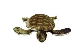 They are known for their beautiful brown shell, mottled with dark and light spots and streaks, which was once commonly used to make tortoiseshell jewelry. Hawksbill Turtle Sea Turtles Species Wwf