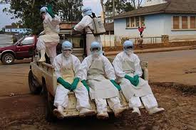 Nov 22, 2016 · ebola virus disease (formerly known as ebola haemorrhagic fever) is a severe, often fatal illness, with a death rate of up to 90% caused by ebola virus, a member of the filovirus family. Jadi Epidemi Di Afrika Bagaimana Gejala Hingga Pengobatan Ebola Halaman All Kompas Com