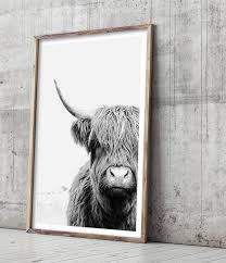 Black And White Cow Pictures To Print Highland Cow Print Large Wall Art Black And White Wall Art Cow Photo Animal Photography Highland Cow Art Living Room Wall Art Poster Highland Cow Art Black And White Wall Art