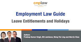 Eight days for every 12 months of continuous service with the same employer if he has been employed for a period of less than two years. Legal Update Leave Entitlements And Holidays Employment Law Guide 2020 Cnplaw Llp A Singapore Law Firm Lawyers With Cross Border Experience Employment Lawyers Employment Dispute Lawyers