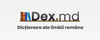 Cuvinte care încep cu literele on. Toate Cuvintele In RomanÄ Care Incep Cu Litera W