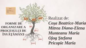 Nu orice schimbare este expresia învățării. Forme De Organizare A Procesului De InvÄÅ£Ämant By Popescu Ioana