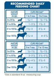 dog feeding chart by age goldenacresdogs com