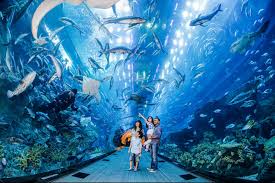 Aquarium, hotels, celebrity chef restaurants & more! Halloween Events At Resort World Sentosa S E A Aquarium Little Steps