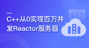 C++从0实现百万并发Reactor服务器「已完结」 - 优库IT资源网