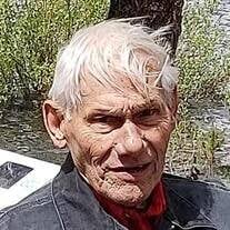 William Albert Perusich Obituary