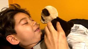 Seltener Krebs: Spendenaktion soll Austin aus Hamburg retten