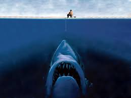 Uh Oh Funny Wallpapers Sharks Funny Shark Fishing