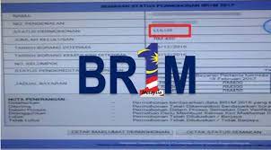 Saya baru cek online tapi blm ada tanda2 duit masuk. Status Permohonan Br1m Lulus Tapi Duit Tidak Masuk Baca Ini Dulu