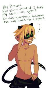 Pin By Chelsea Stith On Ladybug And Cat Noir Miraculous Ladybug Miraculous Ladybug Comic Miraculous