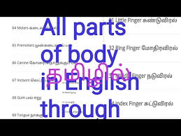 To view any of the lessons below click on link. Parts Of Body In English Through Tamil Youtube