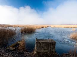 We did not find results for: Poland Picture Landscape Wallpaper National Geographic Photo Of Th National Geographic Wallpaper National Geographic Photography Nature Landscape Wallpaper