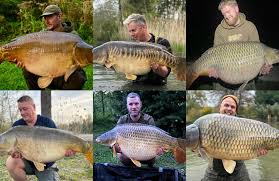 Fish number 3 this session for Gary Pearman 18 lbs 10 oz caught using A M  Baits banana and maple (sounds good enough to eat!!)