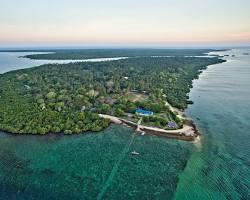 Image of Mafia Island, Tanzania