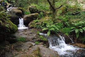 Maybe you would like to learn more about one of these? Santo Tirso Portugal Nos Por Ai Diario De Viagens Facebook