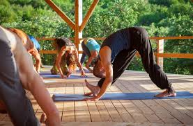 Check spelling or type a new query. Tips For Yoga Instructors For Gentle Yoga Teacher Training