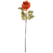 Choose from contactless same day delivery, drive up and more. Orange Peony Stem Hobby Lobby 2193