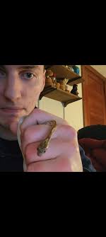 When the travel backback has a better use for Cornhole!