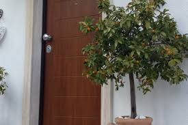 Vendita porte blindate costo roma nord. Porte Blindate Roma Nord Rignano Morlupo Castelnuovo Di Porto Monterotondo Bracciano Sacrofano Trevignano Campagnano