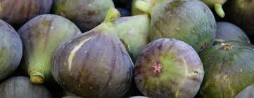 Figuiers Quelles Varietes Choisir Truffaut