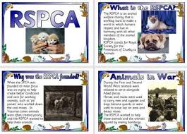 Free Printable Rspca Information Posters For Schools Printable Teaching Resources Teaching Posters Free Teaching