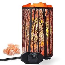 Himalayan Salt Lamp Air Purifying Salt Rock Lamp Natural Night Light