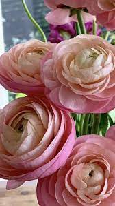 Pin On Wedding Flowers