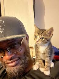 Daily hobbies 🐱🧡🍕📱