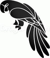 How To Draw A Tribal Parrot Step 8 Bird Silhouette Art Parrot Drawing Bird Silhouette