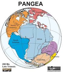 Atlas de 6to grado 2020 / atlas de mexico 6to grado 2020 comicion nacional | libro. Pangea Map Labeled Bing Images Tectonica De Placas Mapas Mentales Mapas Del Mundo