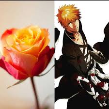 The Roses In Anime امبراطورية الأنمي Amino