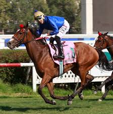 🏆💜 LA CORONACIÓN DE CASSIS VIOLETA La pensionista de Julio Orellana ganó  con autoridad el clásico Las Oaks